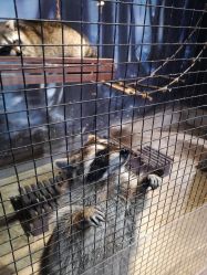 -酷嗒动物文化乐园(cutezoo西溪乐天城店)