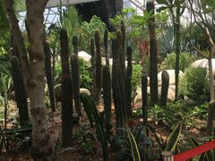 自然馆-西安世博园