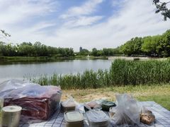 -永定河休闲森林公园