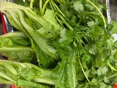 -金鼎雪山牦牛杂火锅(理县总店)