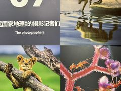 -圆融星座购物中心