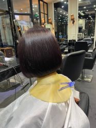 -风向标WIND VANE SALON