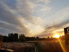 -奥林匹克森林公园南门-停车场