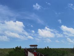 -北海金海湾红树林生态旅游区