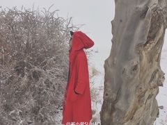 -丝绸之路山地度假区滑雪场