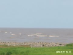 -南汇嘴观海公园