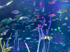 -沈阳海洋探索中心