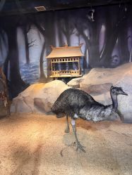 -酷嗒动物文化乐园(cutezoo西溪乐天城店)