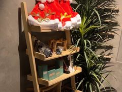 -施奈儿.洗头頭療.按摩SPA.采耳(上梅林店)