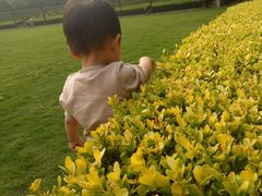 -上海市龙华烈士陵园