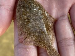 -那香海钻石沙滩浴场