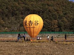 -千年银杏谷文化旅游区