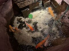 -Mountain House East Village 川山甲