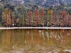 -星湖旅游景区七星岩