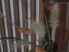 -汉艺唐风茶艺培训(联发华美空间店)