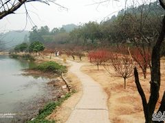 -南国桃园旅游度假区