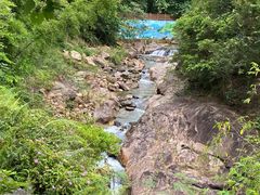 -广州白江湖森林公园