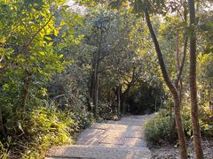 -梧桐山风景名胜区