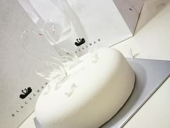 -BLACKSWAN黑天鹅(环球店)