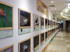 -北京华联购物中心(同成街店)