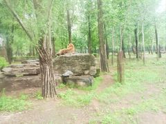 -秦皇岛野生动物园