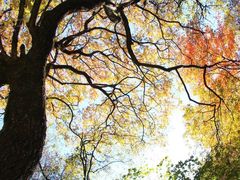 -叠溪松坪沟景区