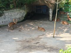 -台州府城(江南长城)