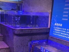 -青蓬蒸汽海鲜·深圳老字号·团建聚会(壹方城店)