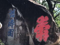 -乌山风景区