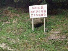 -白水寺森林公园