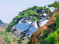 -泰山风景名胜区
