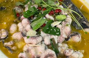 Golden Soup Sturgeon