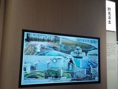 -中国湿地博物馆