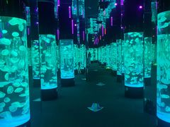 -成都浩海立方海洋公园