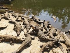 -广东茂名森林公园