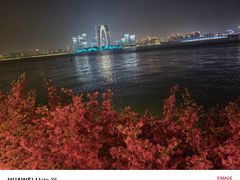 -金鸡湖游船(月光码头)