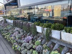 -野菌皇海景野生菌火锅(滨海大道店)