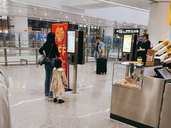 -麦当劳(北京大兴机场二层国内到达(安检外)店)