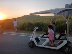 -光明小镇欢乐田园