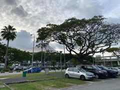 -泰国村酒楼(室内体育馆店)