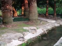 -苏州河梦清园环保主题公园