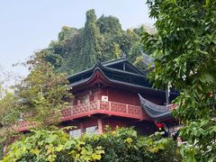 -龙泉洞(沙坪坝区)
