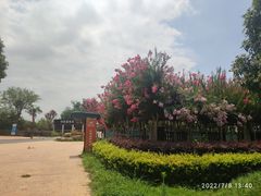 -武汉紫薇都市田园