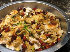 -百岁鱼(望月路店)