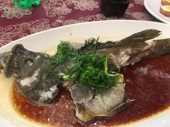 清蒸海上斑-潮喜竹溪荔湖酒家(荔枝湾店)