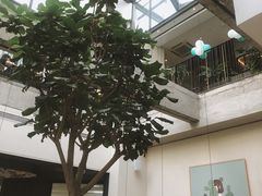 环境-大树餐厅(红旗街万达店)