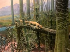 -湖南省地质博物馆