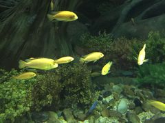 -福州罗源湾海洋世界旅游区