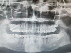 -上海市徐汇区口腔医院