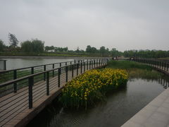 -郑东新区龙湖公共艺术中心